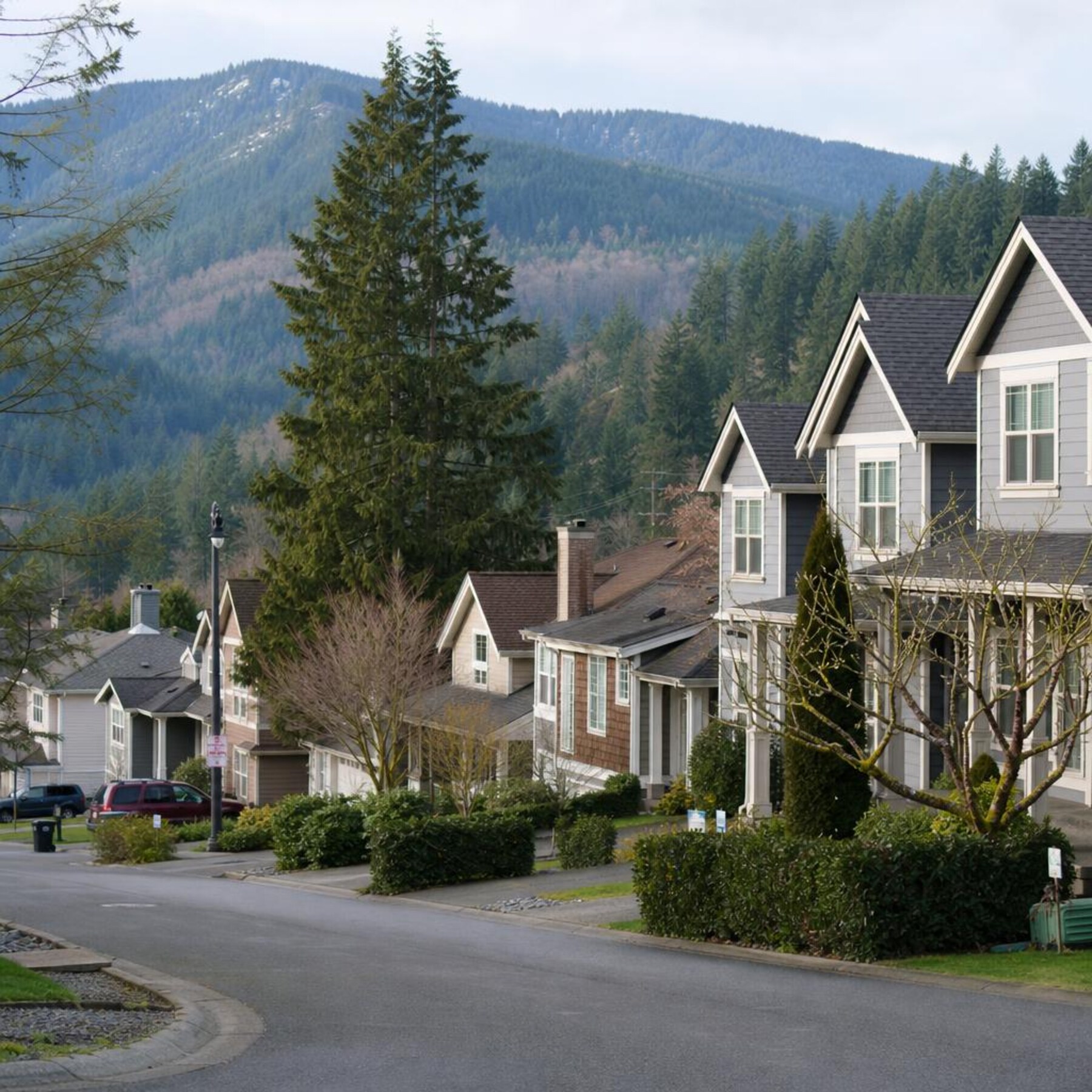 Issaquah Washington neighbourhood with Cascade foothills visible through the trees
