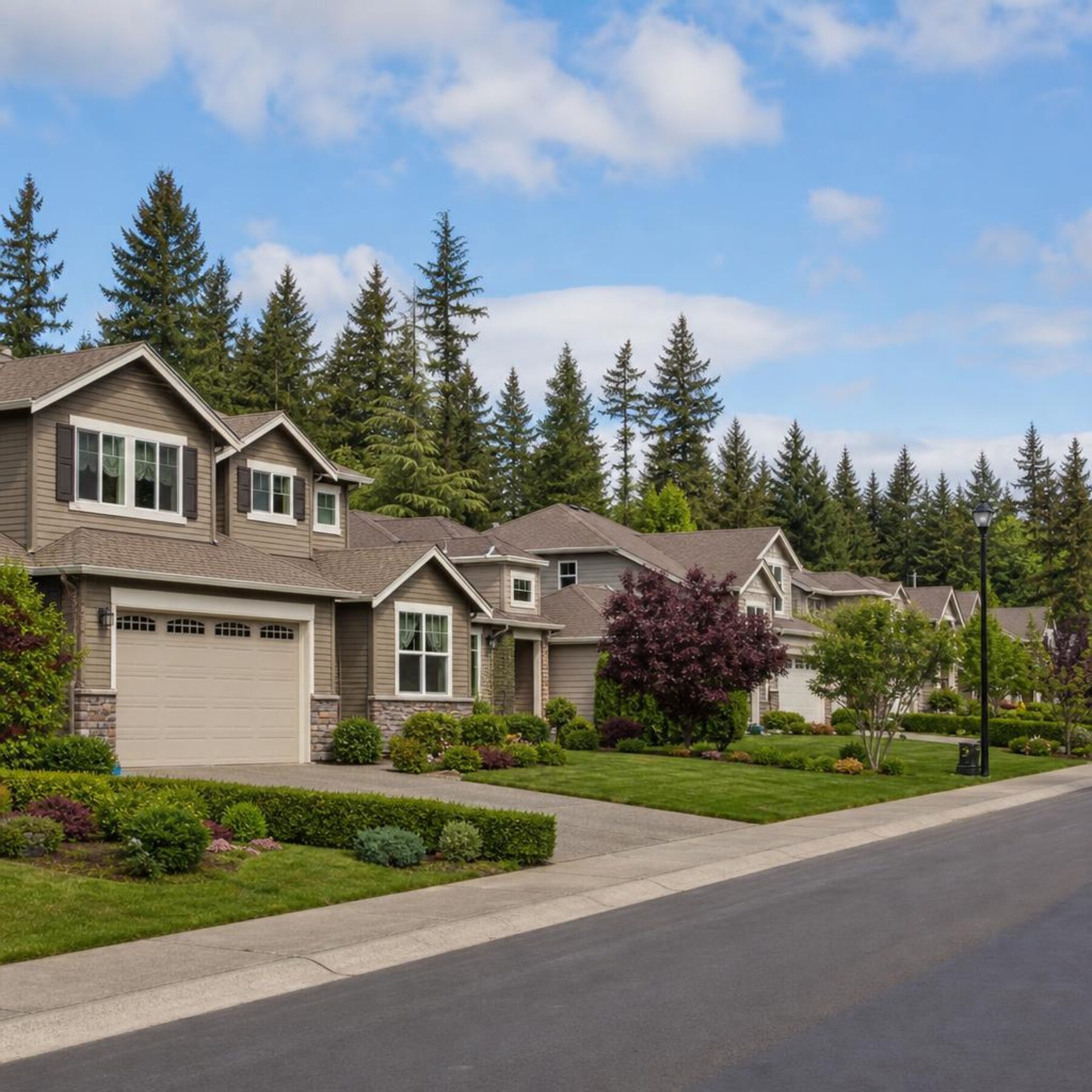 Sammamish Plateau neighbourhood with newer homes and a forested backdrop