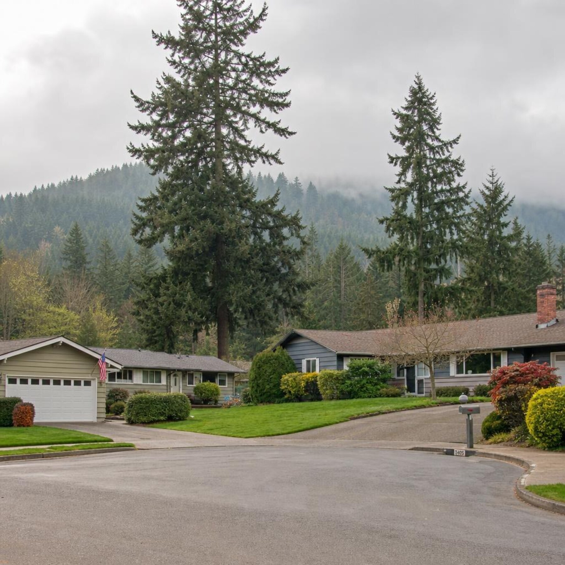 Everett Washington neighbourhood with Puget Sound regional character and tall firs